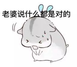 哄è€婆专用hamham仓鼠微信表情å