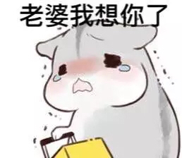哄è€婆专用hamham仓鼠微信表情å