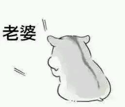 哄è€婆专用hamham仓鼠微信表情å