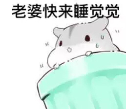 哄è€婆专用hamham仓鼠微信表情å