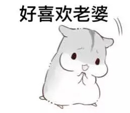 哄è€婆专用hamham仓鼠微信表情å
