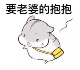 哄è€婆专用hamham仓鼠微信表情å