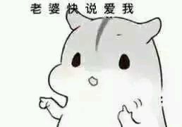 哄è€婆专用hamham仓鼠微信表情å