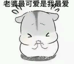 哄è€婆专用hamham仓鼠微信表情å