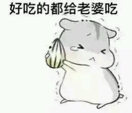哄è€婆专用hamham仓鼠微信表情å