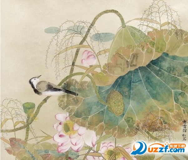 快照11.jpg