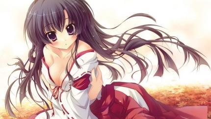 拘束巫女pc版解压即玩版【附结局】