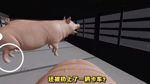 小猪的一生游戏 小猪的一生游戏