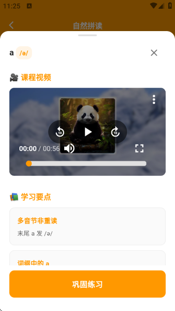 抗遗忘单词表速记软件 抗遗忘单词表速记软件