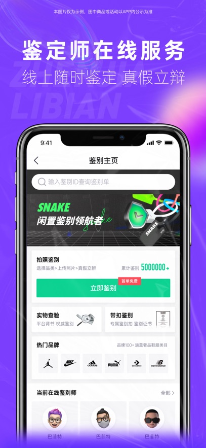 snake鉴别查询入口截图3