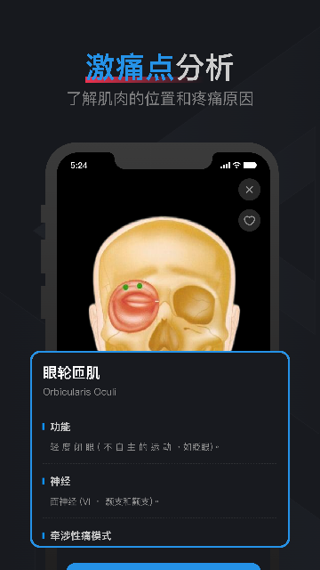 肌肉激痛点图谱APP官方版截图4