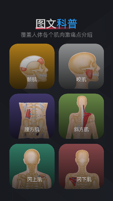 肌肉激痛点图谱APP官方版截图2