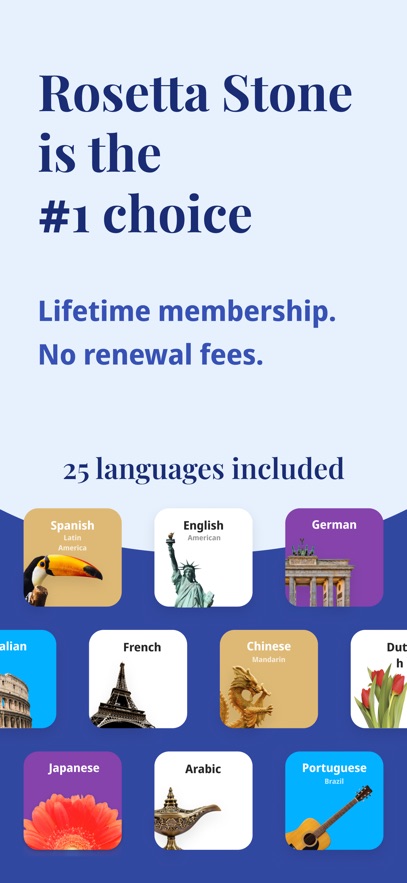 Rosetta Stone߼ͼ4