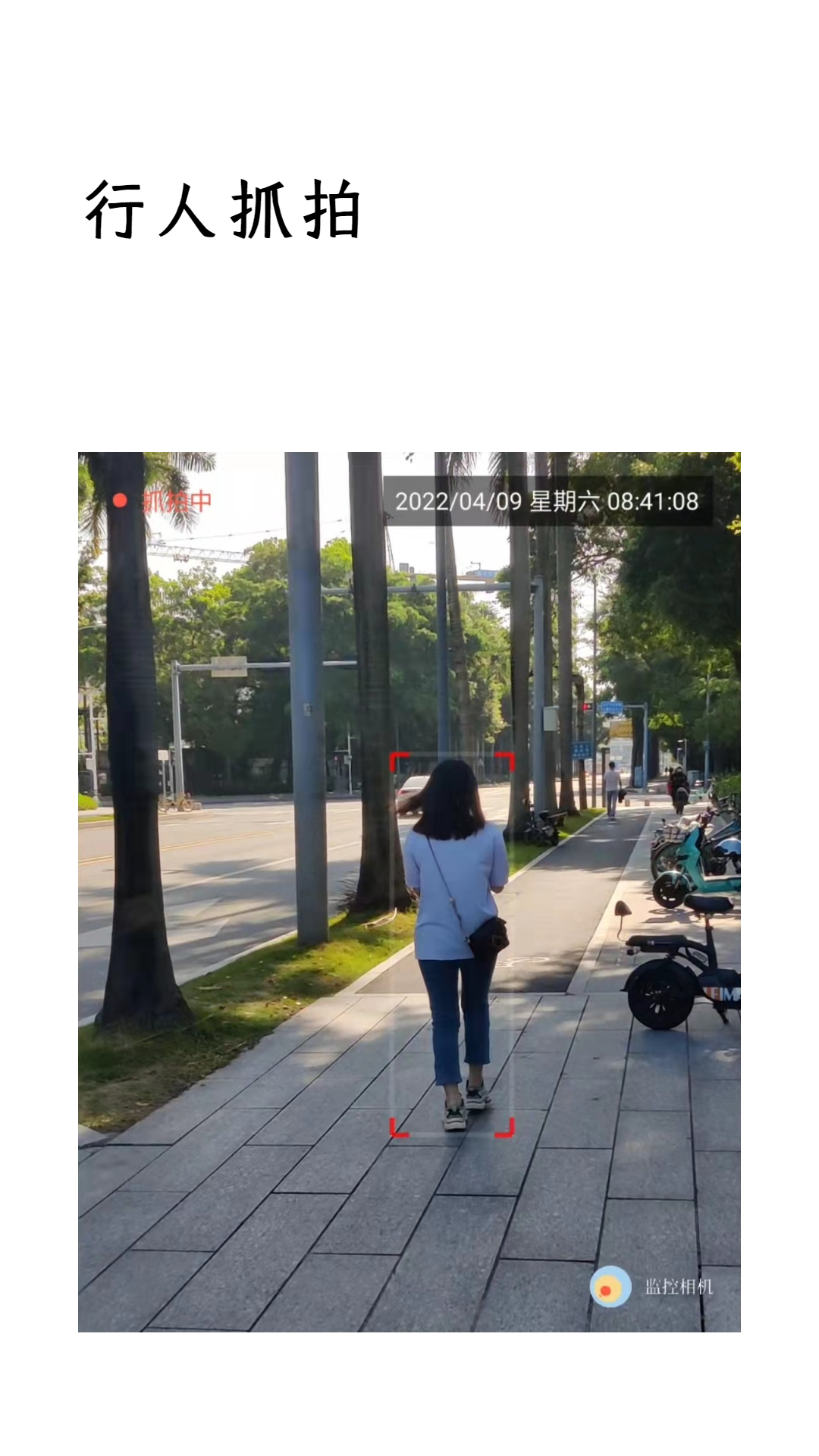 监控相机专业版截图3