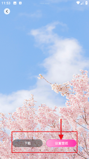 �ֻ��Ķ���ֽapp���°�