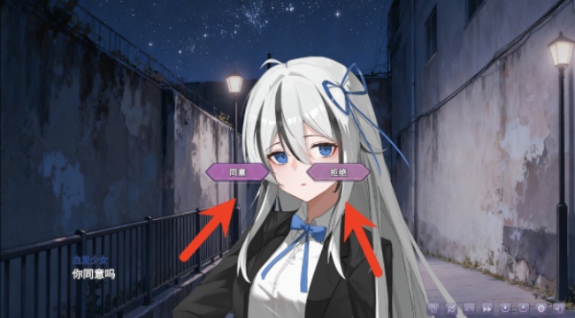 幻想家的白夜 幻想家的白夜