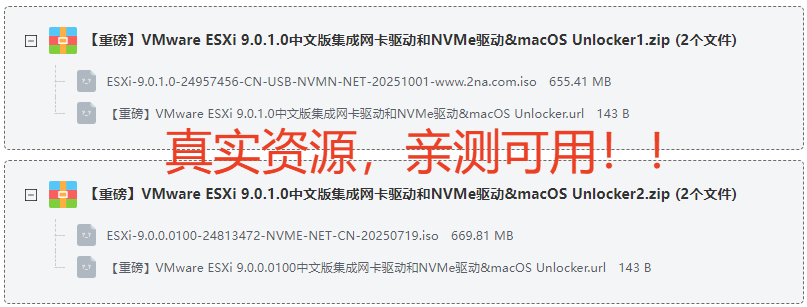 VMware ESXi 9.0.1.0İ漯NVMe