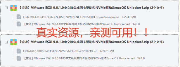 VMware ESXi 9.0.1.0中文版集成网卡驱动和NVMe驱动&macOS Unlocker免费下载 VMware ESXi 9.0.1.0中文版集成网卡驱动和NVMe驱动&macOS Unlocker免费下载