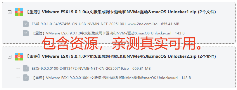 VMware ESXi9.0İ+NVMe