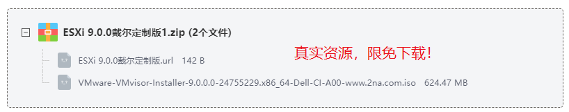 ESXi 9.0.0戴尔定制版 ESXi 9.0.0戴尔定制版