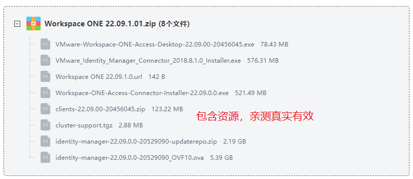 Workspace ONE 22.09.1.0