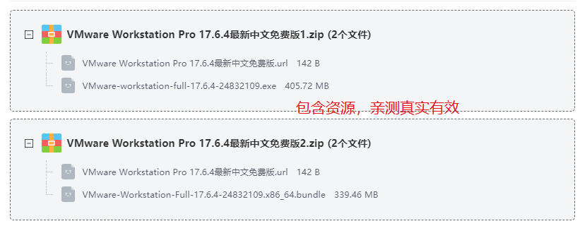 VMware Workstation Pro 17.6.4����������Ѱ�