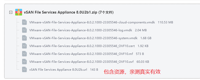 vSAN File Services Appliance 8.0U2b