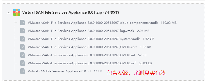 Virtual SAN File Services Appliance 8.0