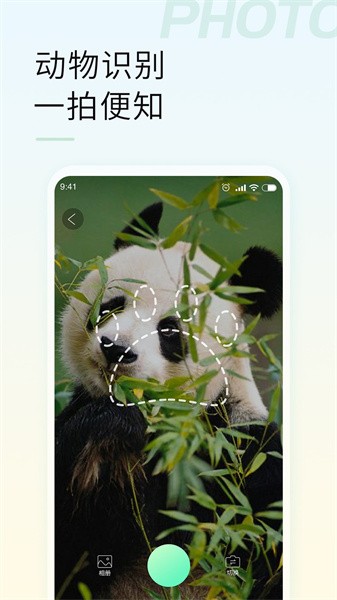 智能拍照识物app 智能拍照识物app