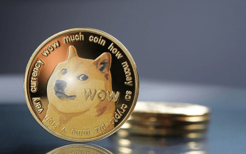 DOGE Coin交易所 DOGE Coin交易所