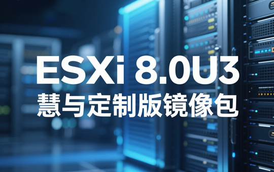 ESXi 8.0U3붨ưͼ0