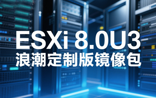 ESXi 8.0U3浪潮定制版截图0