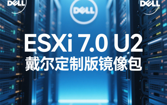 ESXi 7.0 U2�������ư��ͼ0