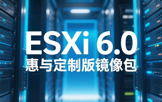 ESXi 6.0붨ưͼ0
