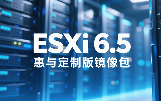 ESXi 6.5붨ư澵ͼ0
