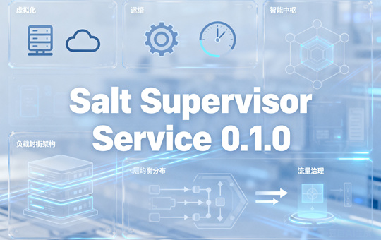 Salt Supervisor Service管理组件截图0
