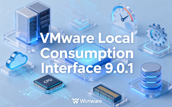 VMware Local Consumption Inter-f-ace°9.0.1 İ