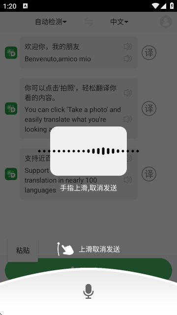 极致语言翻译器官方版截图3