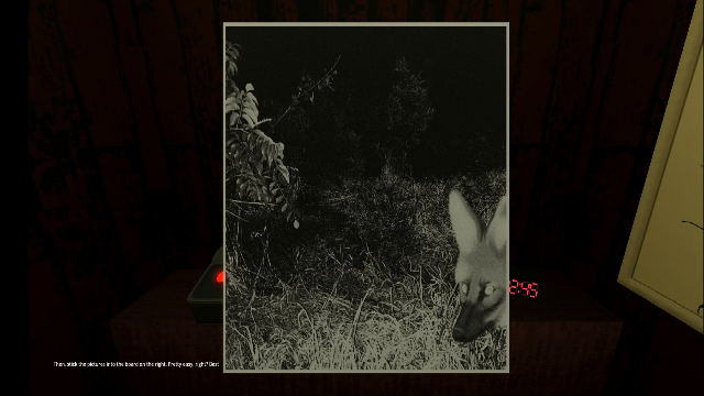 动物观察员游戏官方版截图2