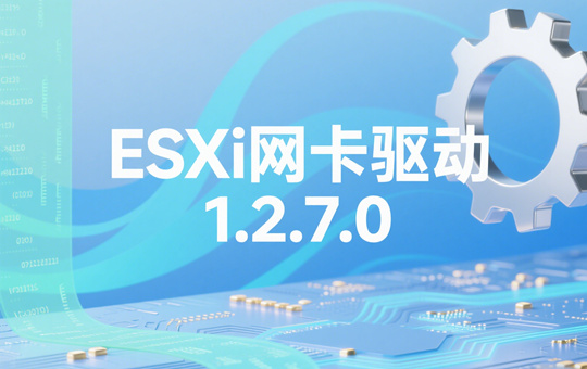 ESXi������������������ ESXi����������ΰ�װ