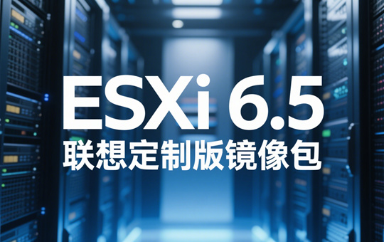 ESXi 6.5����澵���