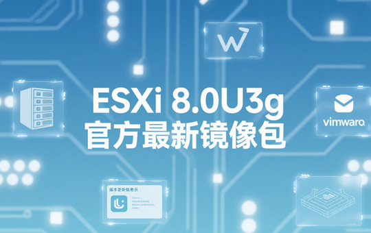 ESXi 8.0U3g�ٷ������