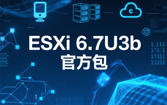 ESXi 6.7U3b�����