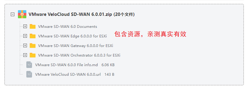VMware VeloCloud SD-WAN套件 VMware VeloCloud SD-WAN套件