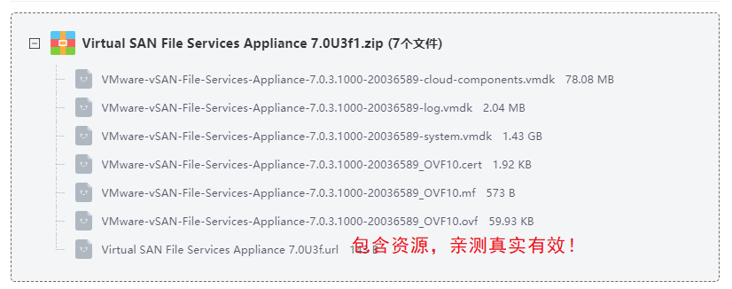 Virtual SAN File Services Appliance