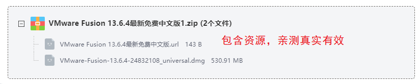 VMware Fusion 13.6.4���°�