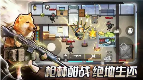 �޹��������޹���