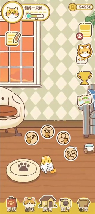 ����һֻ����è