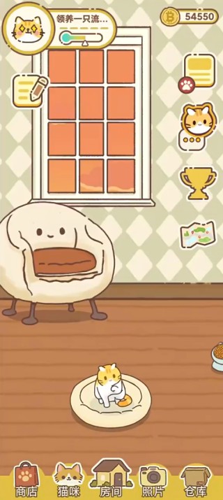 ����һֻ����è