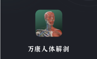 ���������-3D����